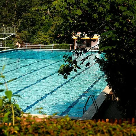 N16 - Gemuetliches Nurdachhaus Mit Schoenem Garten Am See * Waldkirchen