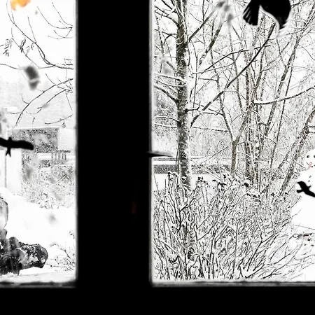 N16 - Gemuetliches Nurdachhaus Mit Schoenem Garten Am See *